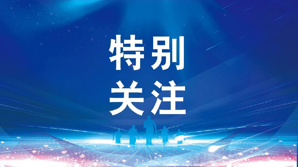 关于开展2024年度艺术系列职称评审和认定工作的通知