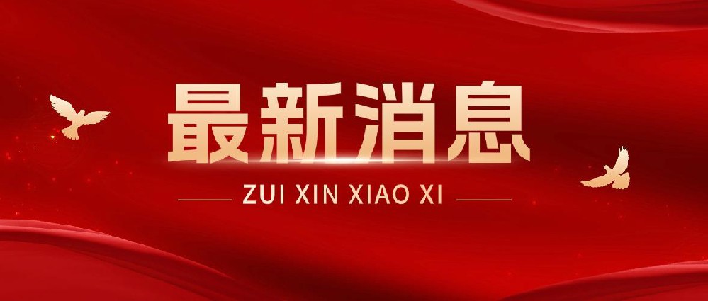 看过来！2025年体育艺术特长生招生学校和招生计划公布了！